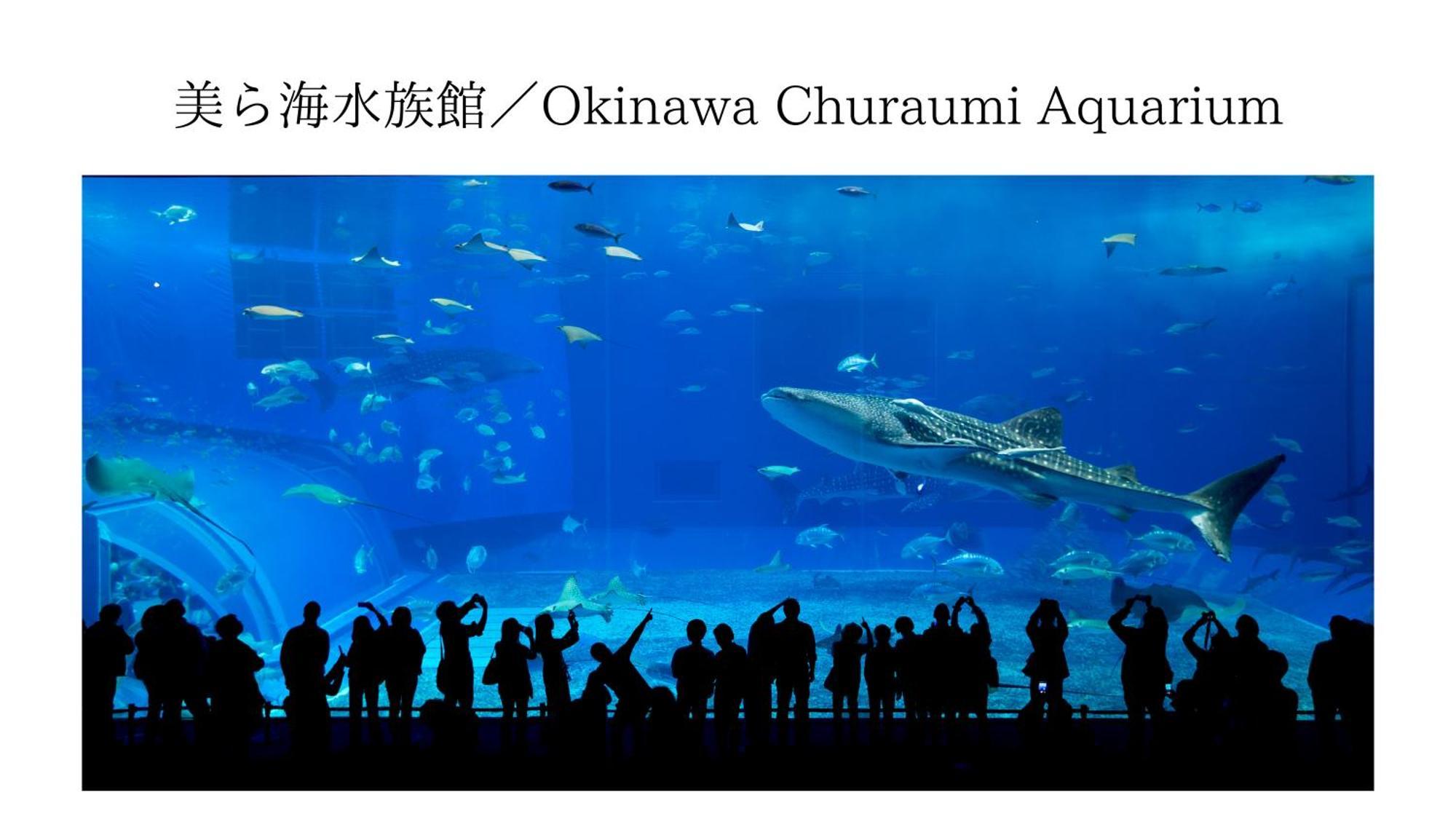 Aqua Shallows Onna Luaran gambar